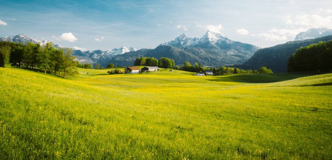 KDV'siz arsalar satışa çıkıyor! KDV'siz arsalar hani şehirde? 1